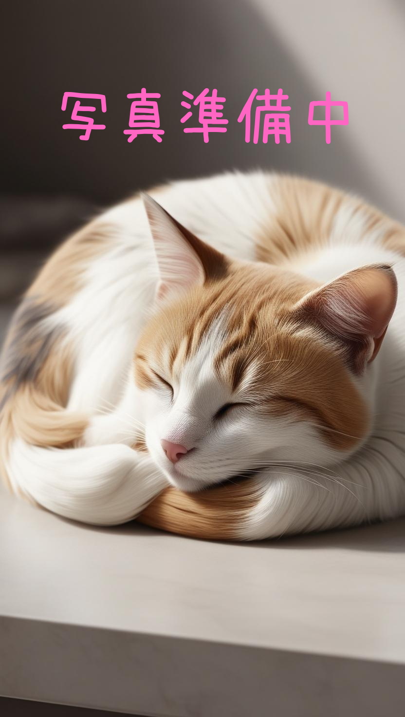 芹沢 涼香の画像