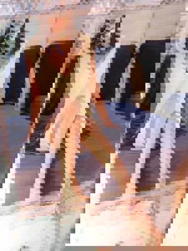 双葉みくりの画像