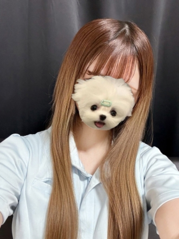 早川 みるの画像