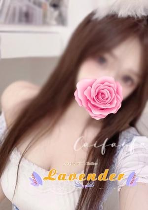 みみちゃんの画像