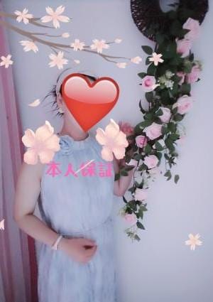 しほう（至宝）の画像