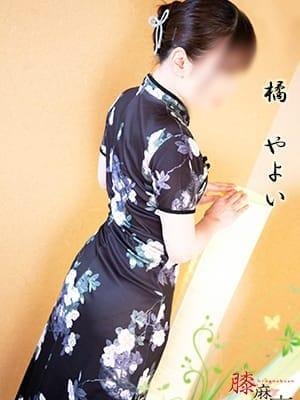 橘　やよいの画像