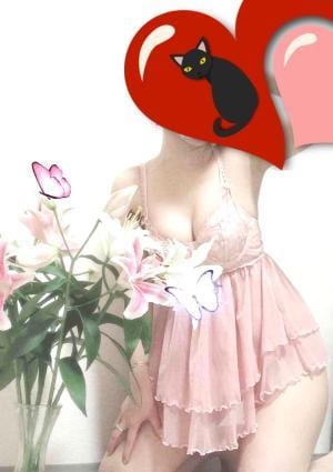 ルナちゃんの画像