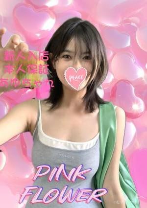 あゆちゃんの画像