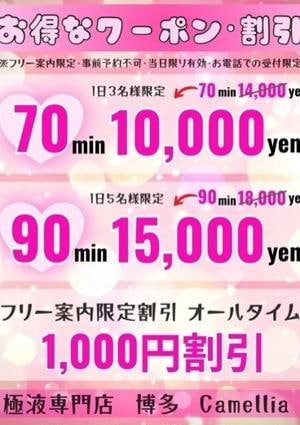 Camellia -クーポン-の画像