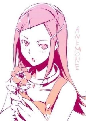 アネちゃんの画像