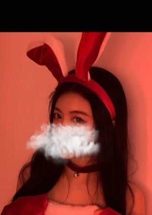 メメちゃんの画像