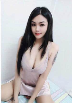 メメちゃんの画像