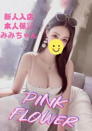 みみちゃんの画像