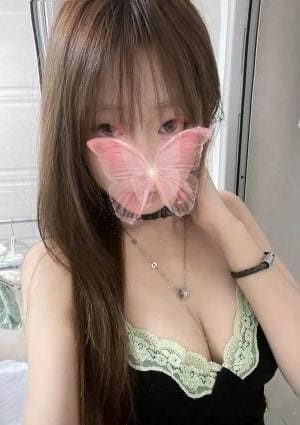 みみちゃんの画像