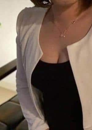 ヒマワリの画像