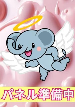 ゾウさんプレミアムの画像