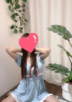 キララちゃんの画像