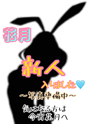 ルルちゃんの画像