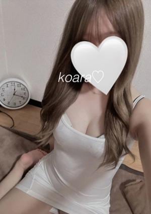 Koara【白組】の画像