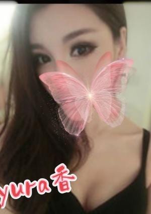 ユキちゃんの画像