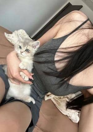 ゆきちゃんの画像