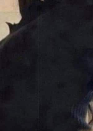 黒崎いちごの画像