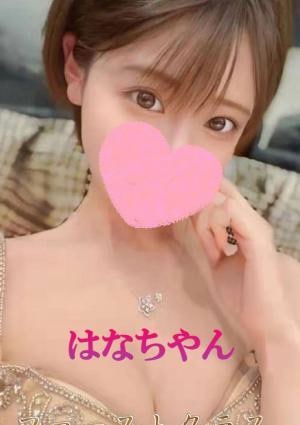 はなちゃんの画像