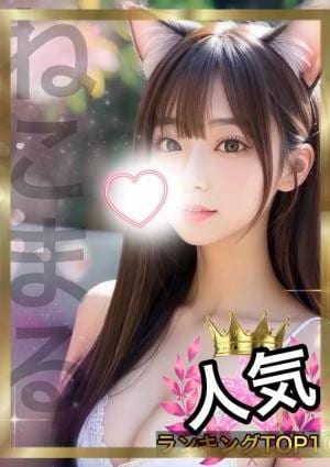 ねこまるの画像