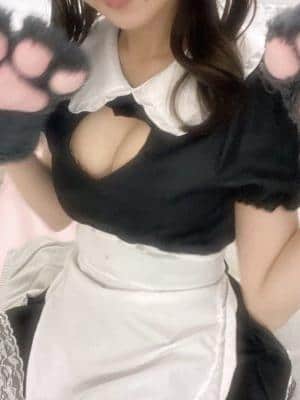 もえにゃんの画像