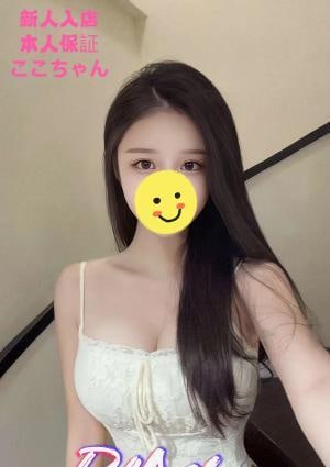 ここちゃんの画像