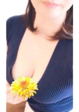 青山 はるかの画像